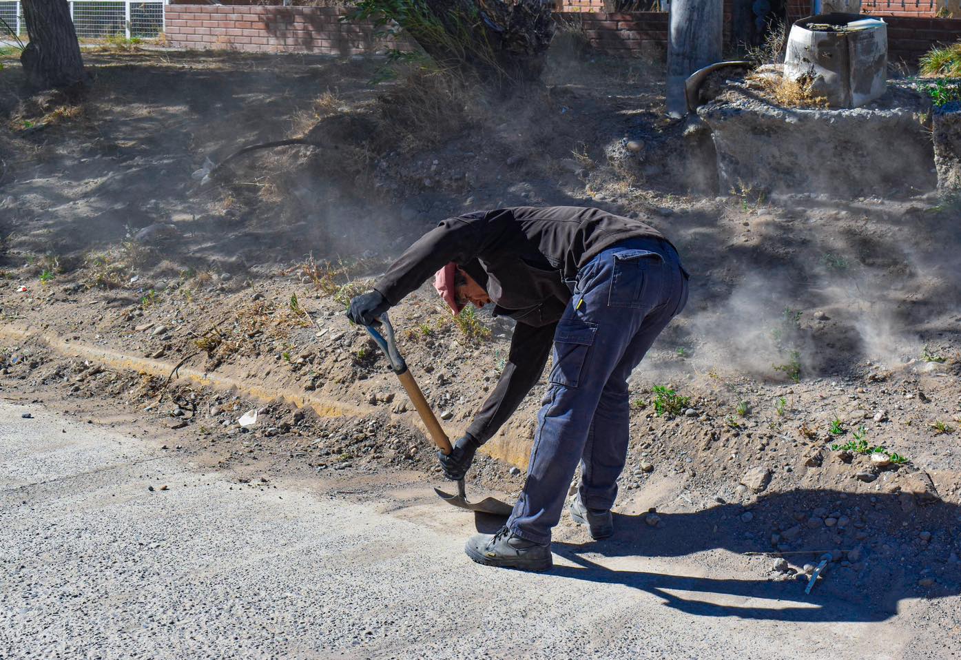 LA SECRETARÍA DE AMBIENTE EN ACCIÓN