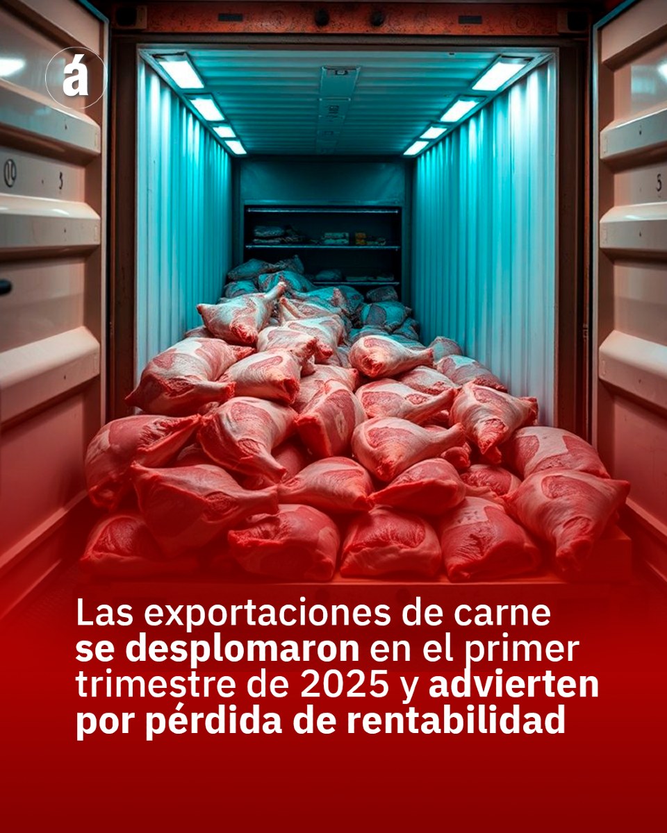 LAS EXPORTACIONES DE CARNE SE DESPLOMARON